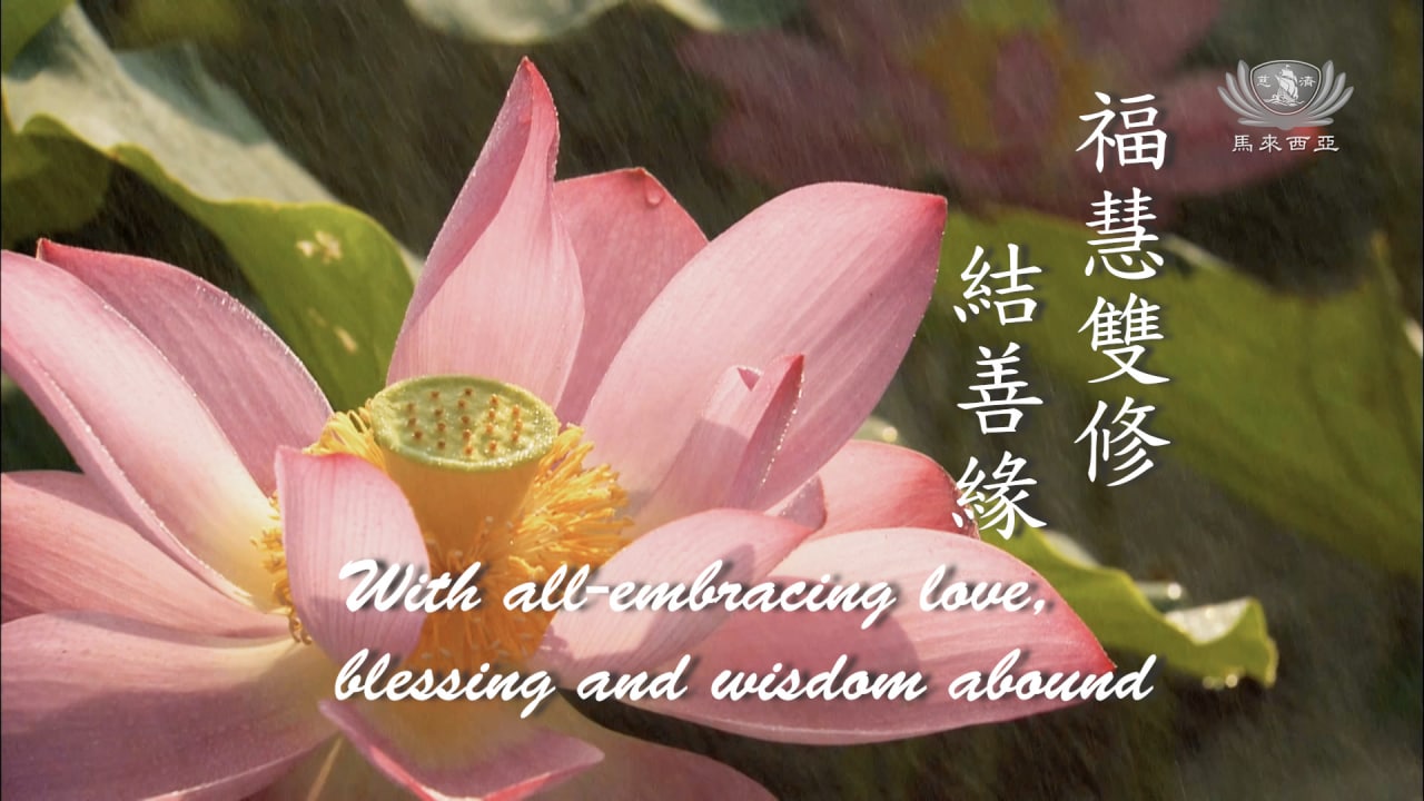 Tzu-Chi Volunteer Management System | Article | 福慧雙修結善緣 | 2022法音宣流